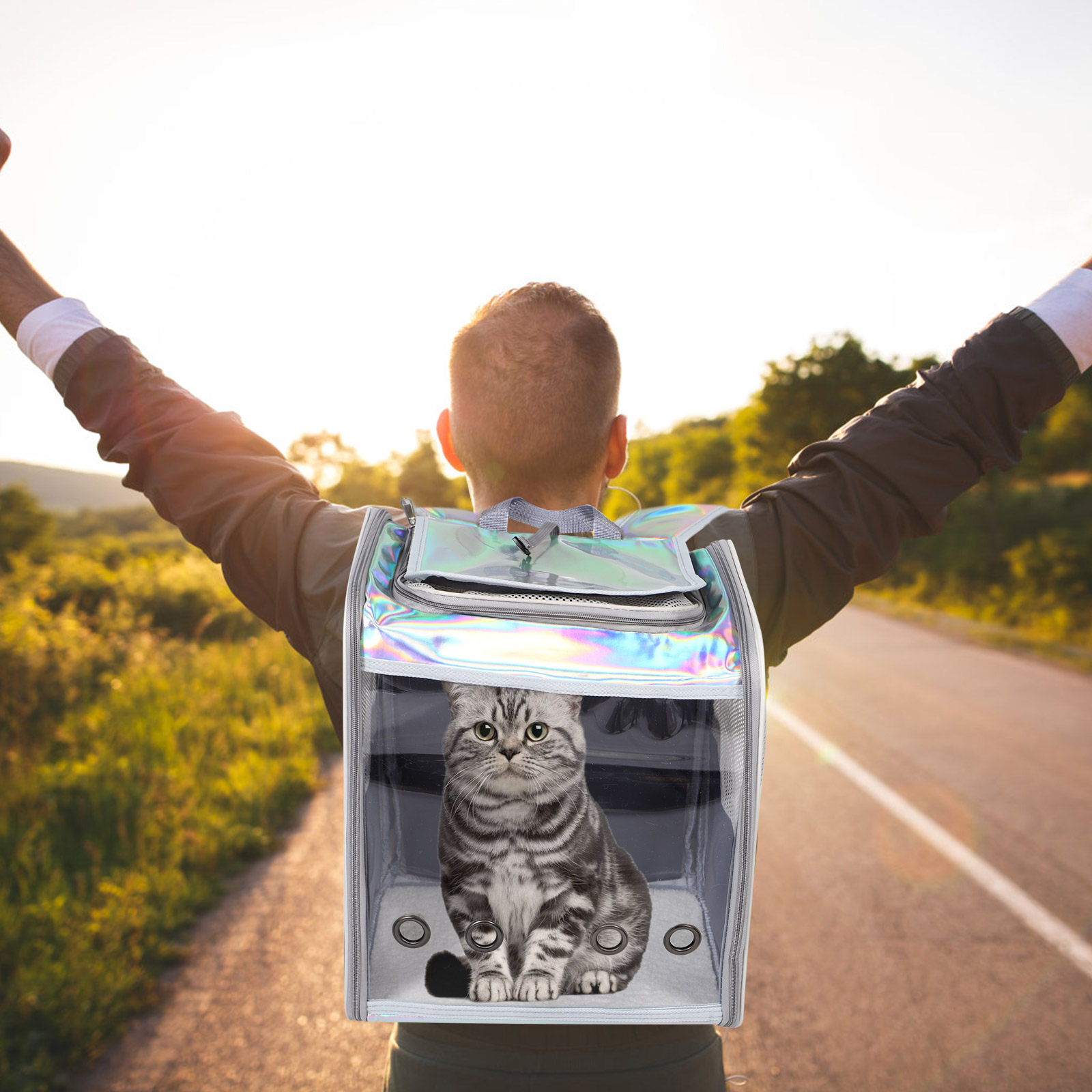 Spacious Foldable Pet Backpack - Foldable Backpack Small recension och pris